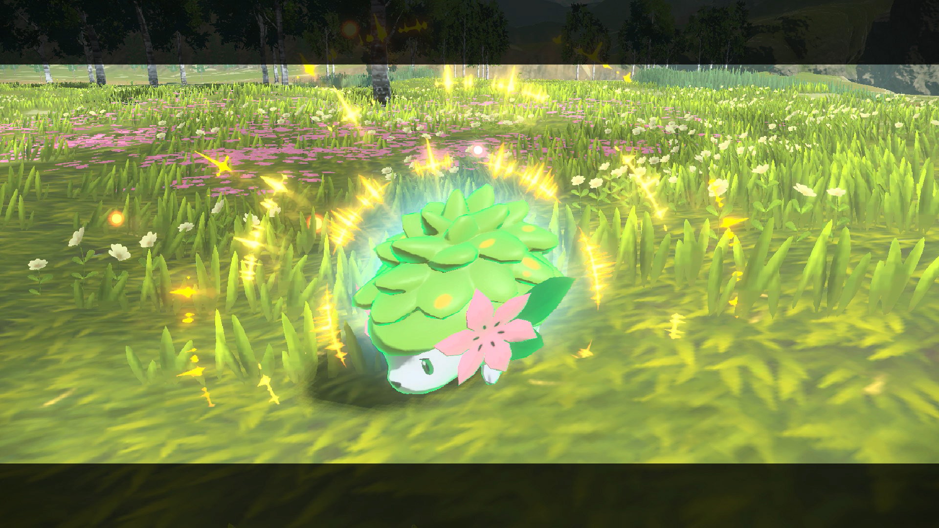 Pokémon Legends: Arceus! รับโบนัสสุดพิเศษ ถ้าเคยเล่นเกม Pokémon Sword, Shield และ Pokémon: Let’s Go
