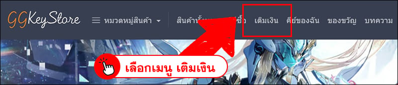 การเติมเงินด้วย TrueMoney Wallet (เพย์โซลูชั่น)
