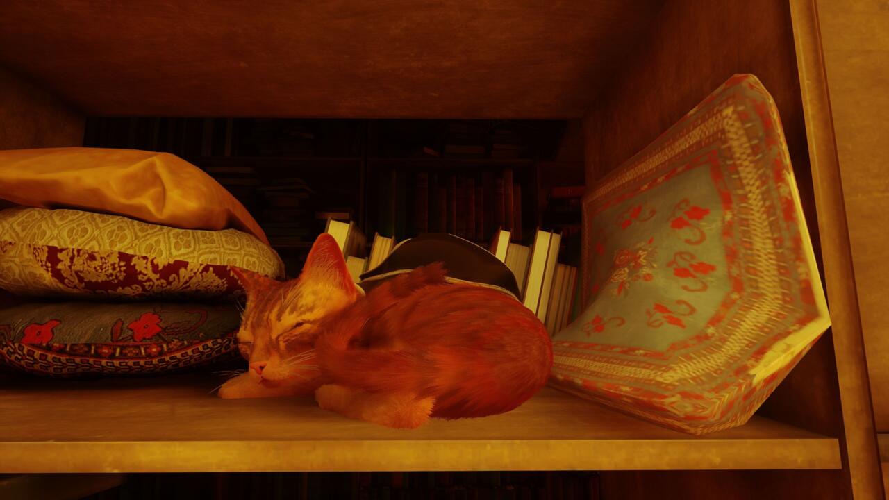 [Review] รีวิวเกม Stray