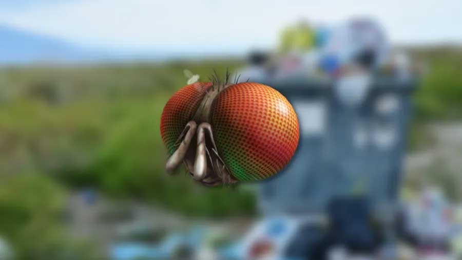 Roblox - Freaky Fly Face (Hat) #3