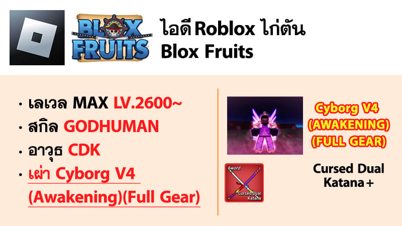 ไอดี Roblox Blox Fruits - ไอดีไก่ตัน MAX Level - Cybong V4 (Awakening)(FULL GEAR) #1