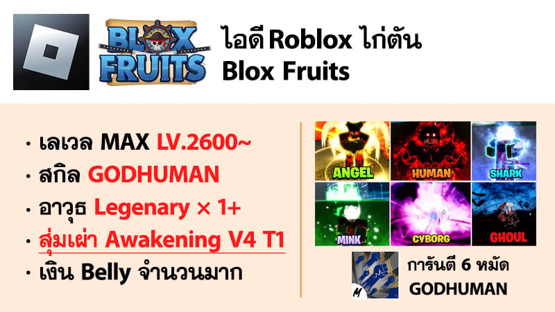 ไอดี Roblox Blox Fruits - ไอดีไก่ตัน MAX Level - สุ่มเผ่า Awakening V4 T1 #1