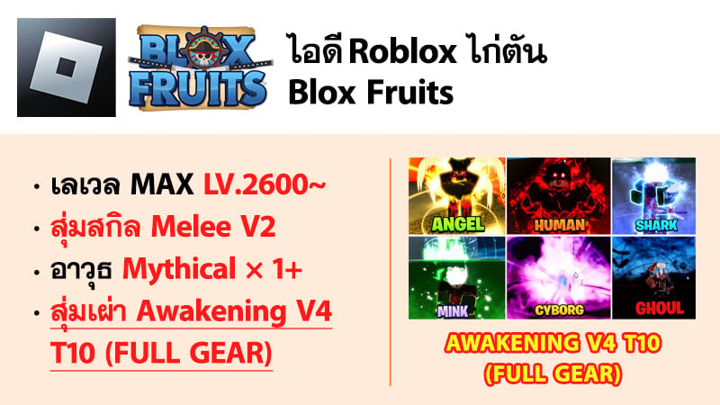 ไอดี Roblox Blox Fruits - ไอดีไก่ตัน MAX Level - สุ่มเผ่า Awakening V4 T10 (FULL GEAR) #1