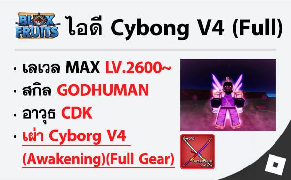 ไอดี Roblox Blox Fruits - ไอดีไก่ตัน MAX Level - Cybong V4 (Awakening)(FULL GEAR)