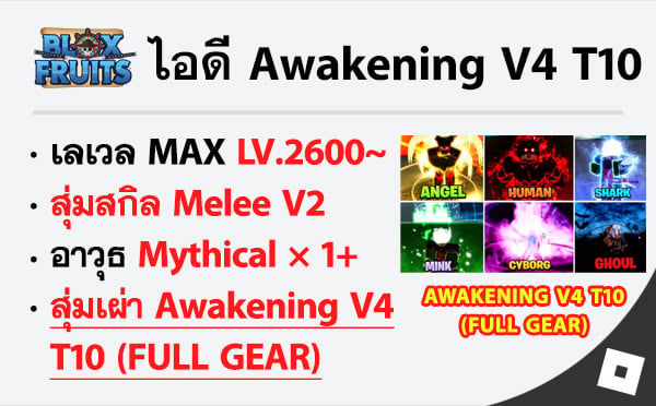 ไอดี Roblox Blox Fruits - ไอดีไก่ตัน MAX Level - สุ่มเผ่า Awakening V4 T10 (FULL GEAR)