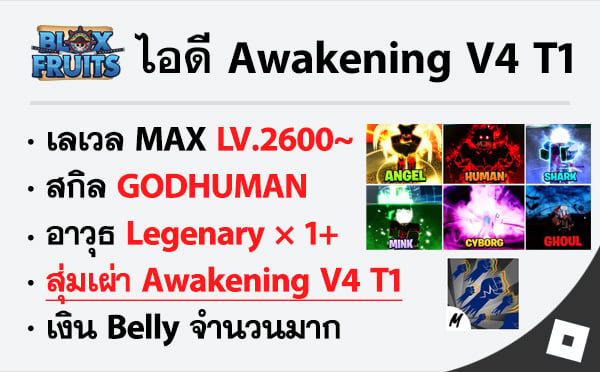 ไอดี Roblox Blox Fruits - ไอดีไก่ตัน MAX Level - สุ่มเผ่า Awakening V4 T1